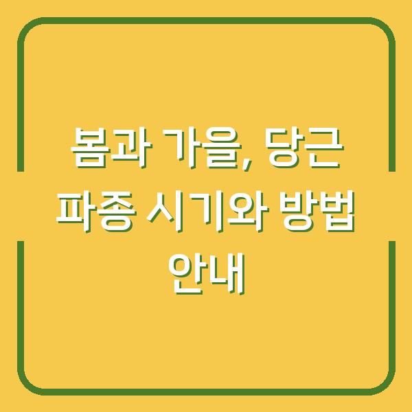 봄과 가을, 당근 파종 시기와 방법 안내
