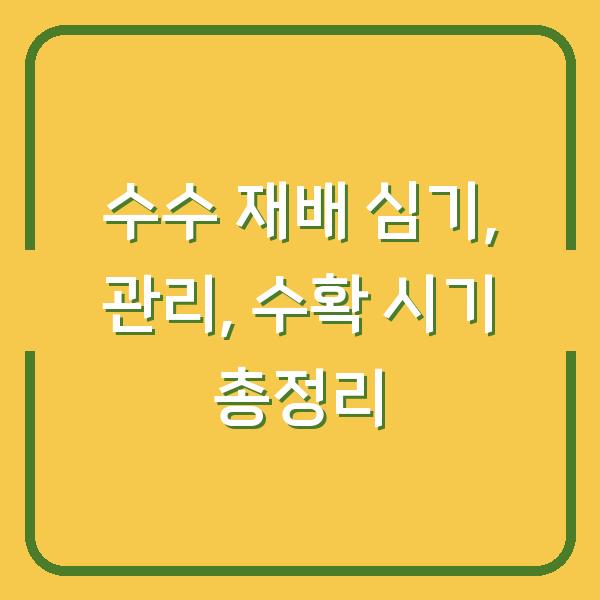 수수 재배 심기, 관리, 수확 시기 총정리