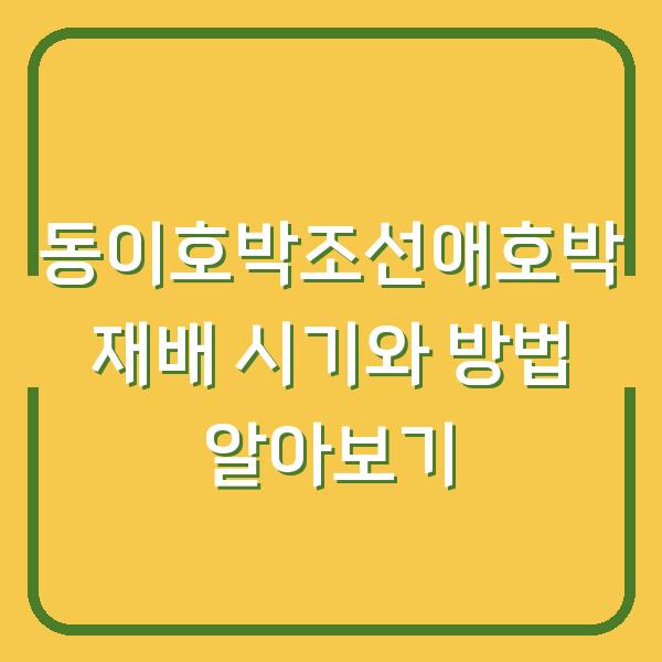 동이호박조선애호박 재배 시기와 방법 알아보기