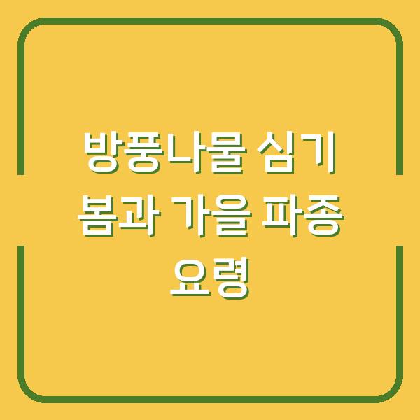 방풍나물 심기 봄과 가을 파종 요령