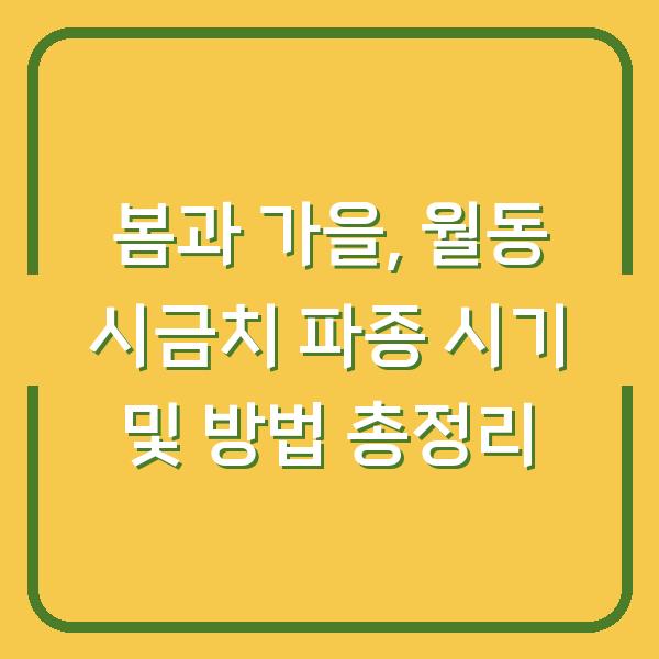 봄과 가을, 월동 시금치 파종 시기 및 방법 총정리