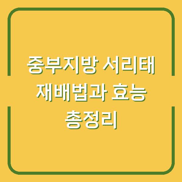 중부지방 서리태 재배법과 효능 총정리