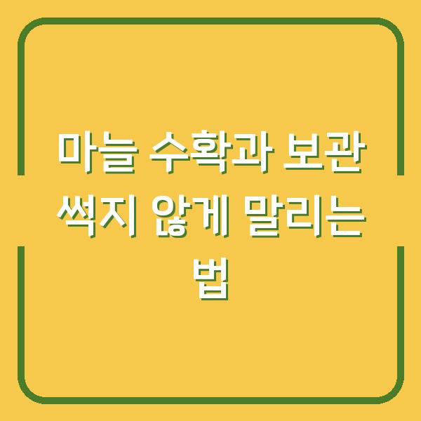 마늘 수확과 보관 썩지 않게 말리는 법
