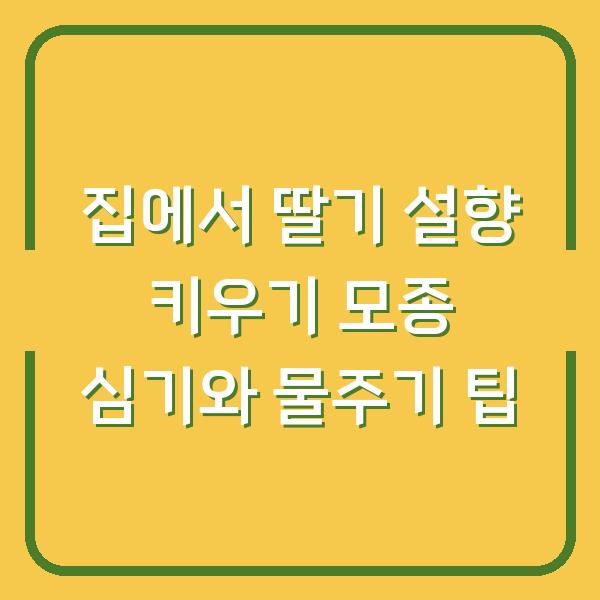 집에서 딸기 설향 키우기 모종 심기와 물주기 팁