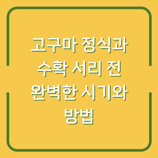 고구마 정식과 수확 서리 전 완벽한 시기와 방법