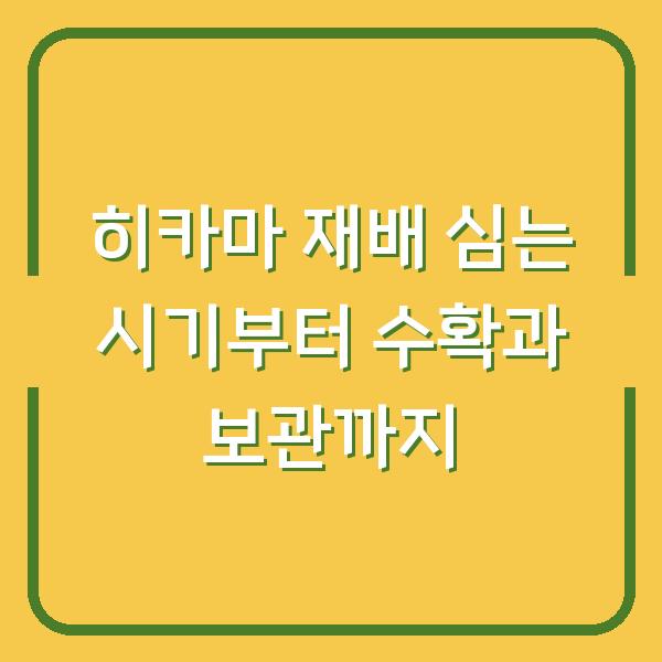 히카마 재배 심는 시기부터 수확과 보관까지