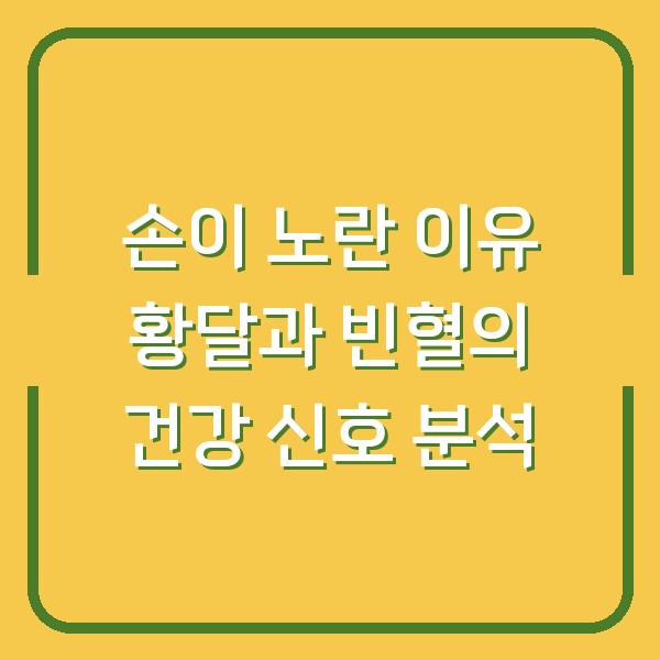 손이 노란 이유 황달과 빈혈의 건강 신호 분석