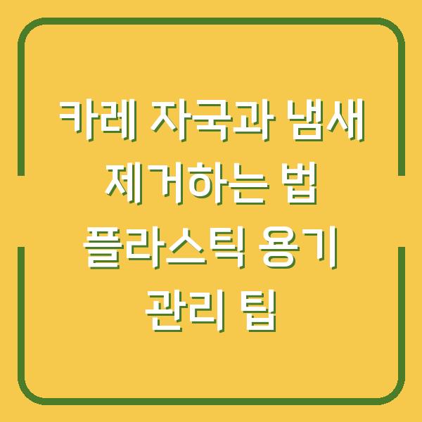 카레 자국과 냄새 제거하는 법 플라스틱 용기 관리 팁