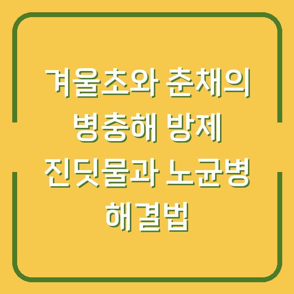 겨울초와 춘채의 병충해 방제 진딧물과 노균병 해결법