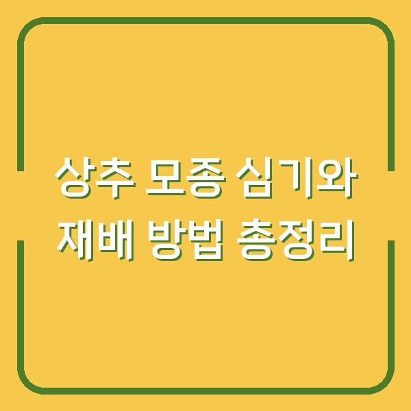 상추 모종 심기와 재배 방법 총정리