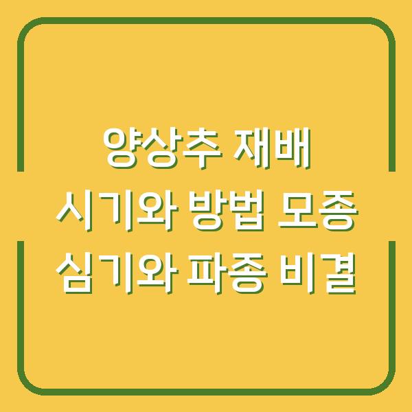 양상추 재배 시기와 방법 모종 심기와 파종 비결