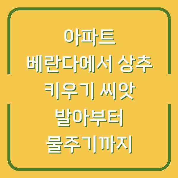 아파트 베란다에서 상추 키우기 씨앗 발아부터 물주기까지