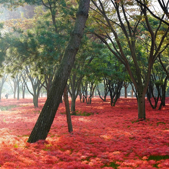 연락처 동기화 문제