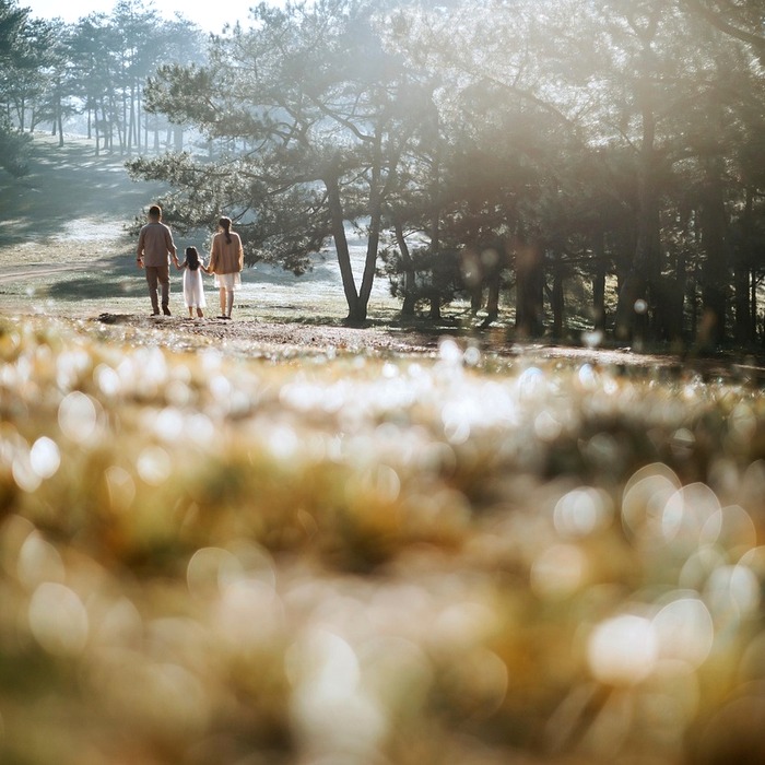 가족 여행 공간