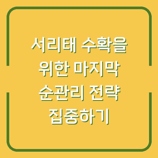 서리태 수확을 위한 마지막 순관리 전략 집중하기
