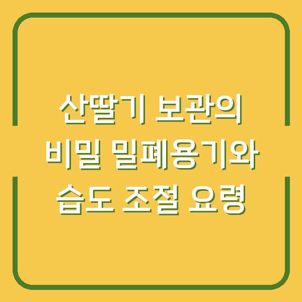 산딸기 보관의 비밀 밀폐용기와 습도 조절 요령