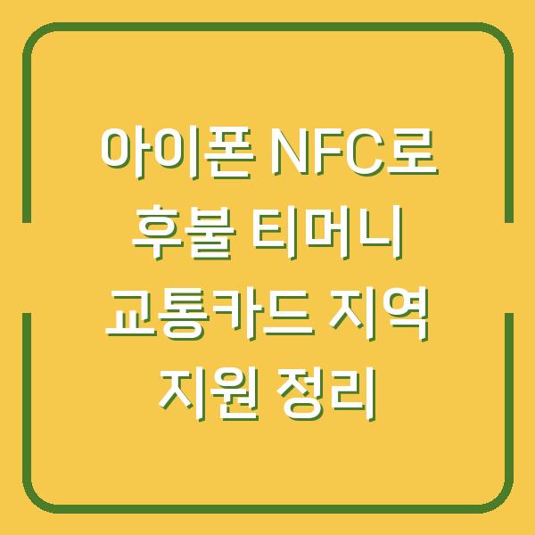 아이폰 NFC로 후불 티머니 교통카드 지역 지원 정리