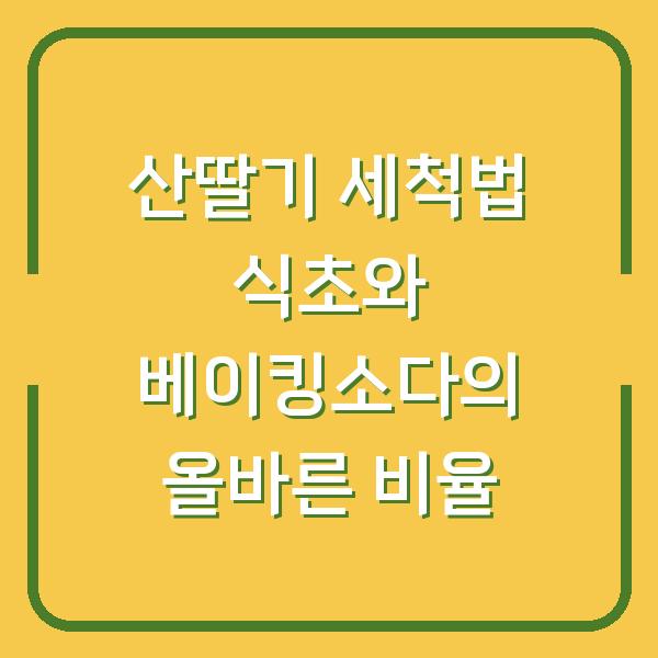 산딸기 세척법 식초와 베이킹소다의 올바른 비율