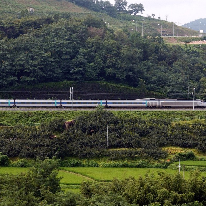 KTX 고속철도