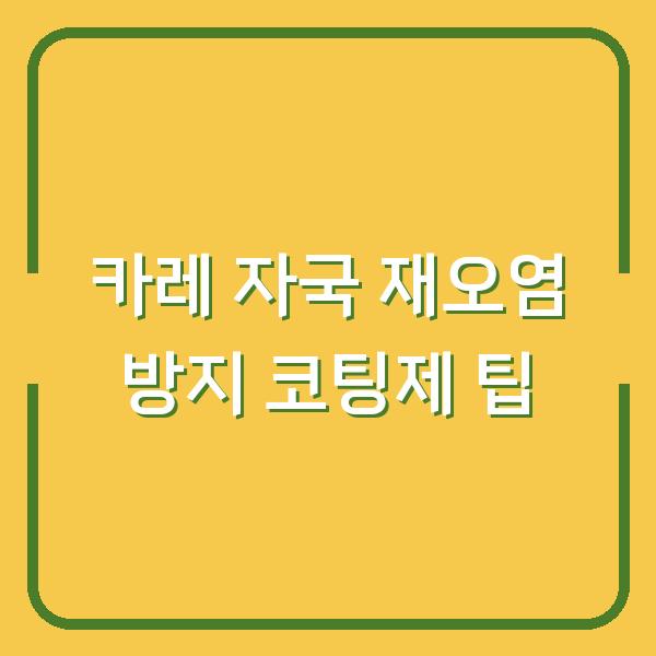 카레 자국 재오염 방지 코팅제 팁