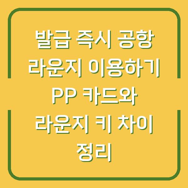 발급 즉시 공항 라운지 이용하기 PP 카드와 라운지 키 차이 정리