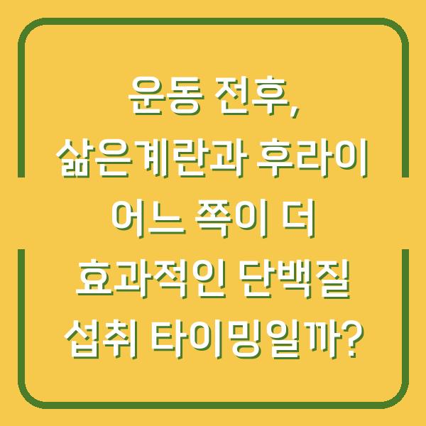운동 전후, 삶은계란과 후라이 어느 쪽이 더 효과적인 단백질 섭취 타이밍일까?