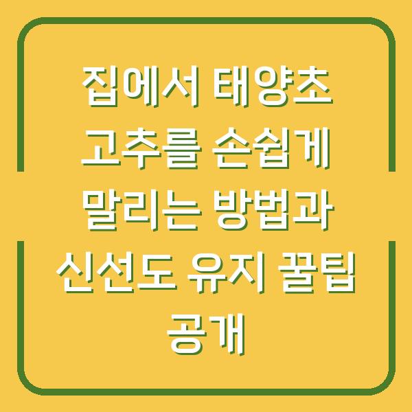 집에서 태양초 고추를 손쉽게 말리는 방법과 신선도 유지 꿀팁 공개