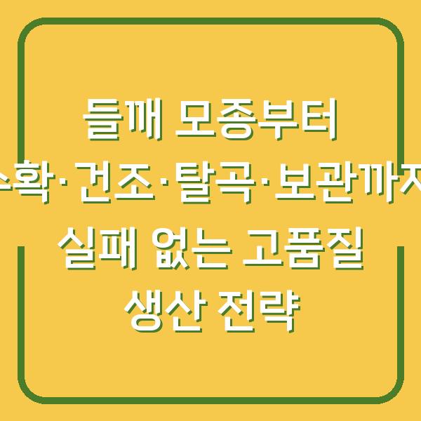 들깨 모종부터 수확·건조·탈곡·보관까지, 실패 없는 고품질 생산 전략