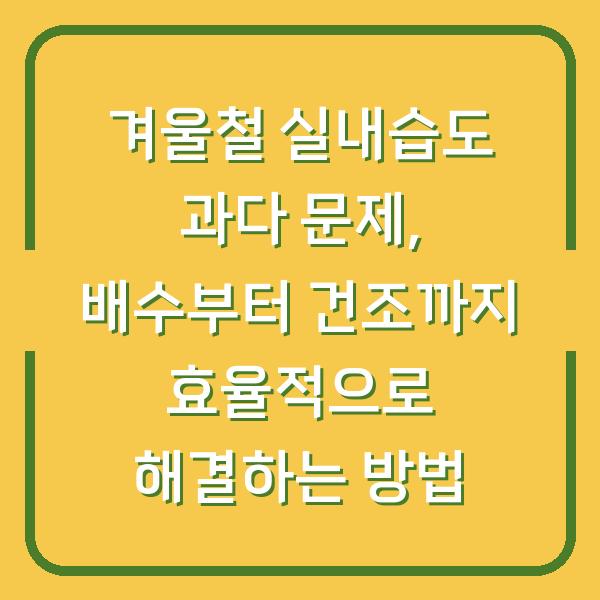 겨울철 실내습도 과다 문제, 배수부터 건조까지 효율적으로 해결하는 방법