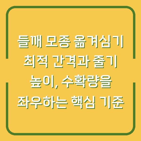 들깨 모종 옮겨심기 최적 간격과 줄기 높이, 수확량을 좌우하는 핵심 기준