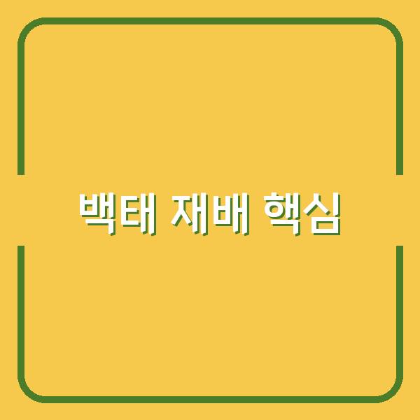 백태 심는 시기와 파종 방법, 초보 농부도 놓치지 말아야 할 재배 핵심 조건