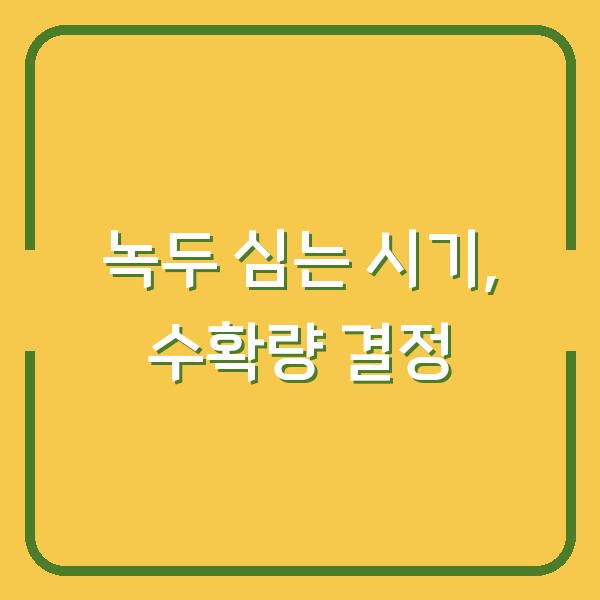 녹두 심는 시기, 1년 농사 수확량이 확 달라지는 이유
