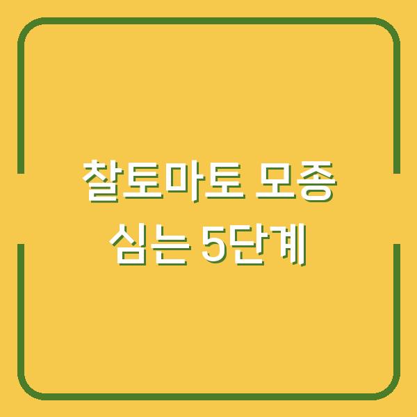 찰토마토 모종 심는 시기, 초보자도 첫 수확까지 문제없는 5단계