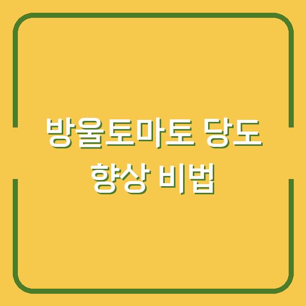 소금물과 가지치기로 당도 2배! 방울토마토 달게 키우는 비결