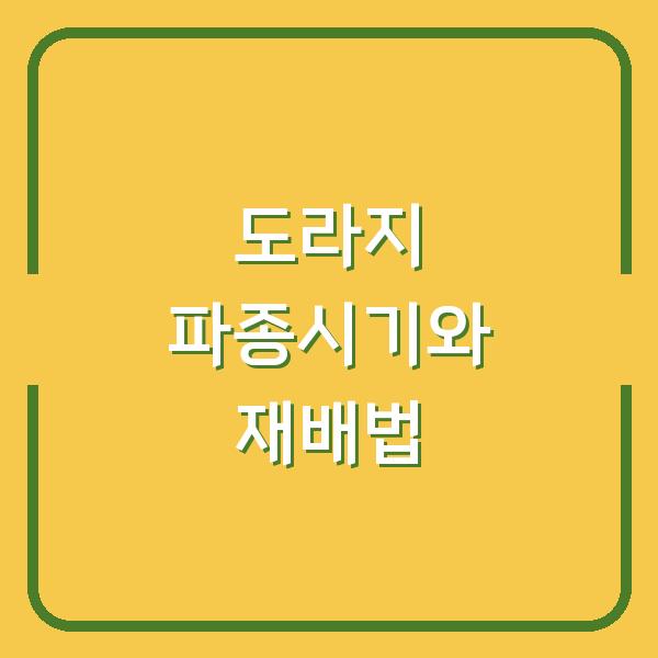 도라지 심는 시기 놓치면 수확량 반토막, 씨앗 파종시기와 재배 방법 3가지만 바꿔보세요