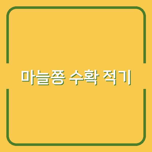 마늘쫑 수확 시기 놓치면 질겨집니다, 지금이 적기입니다