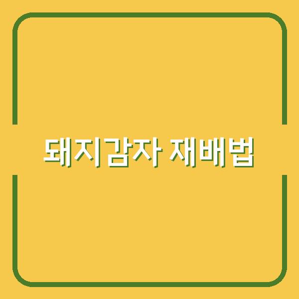 돼지감자 수확과 심는 시기, 자색부터 백색 뚱딴지까지 제대로 키우는 법