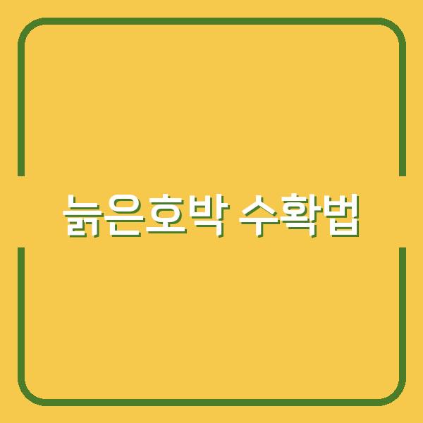 늙은호박, 언제 어떻게 수확하고 어디에 보관해야 신선함 오래 유지될까?