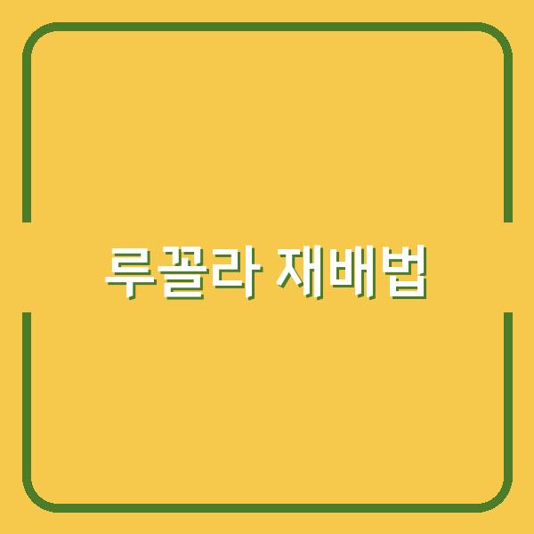 초보자도 실패 없이 키우는 루꼴라 재배 시기와 실전 노하우