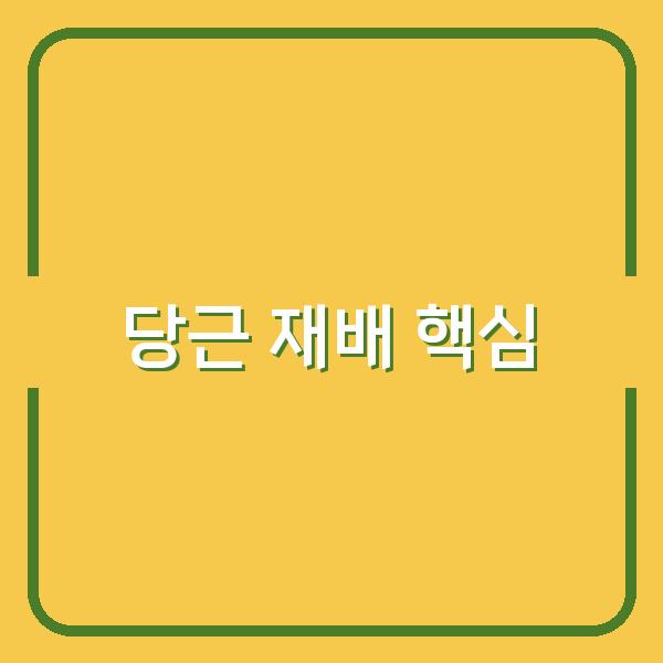 봄·가을 당근 파종 시기와 성공 비법, 재배부터 수확까지 핵심 포인트
