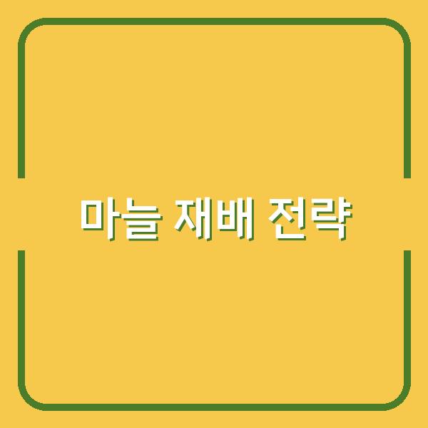 한지형·난지형 마늘 심는 시기와 재배법, 수확량 높이는 핵심 전략