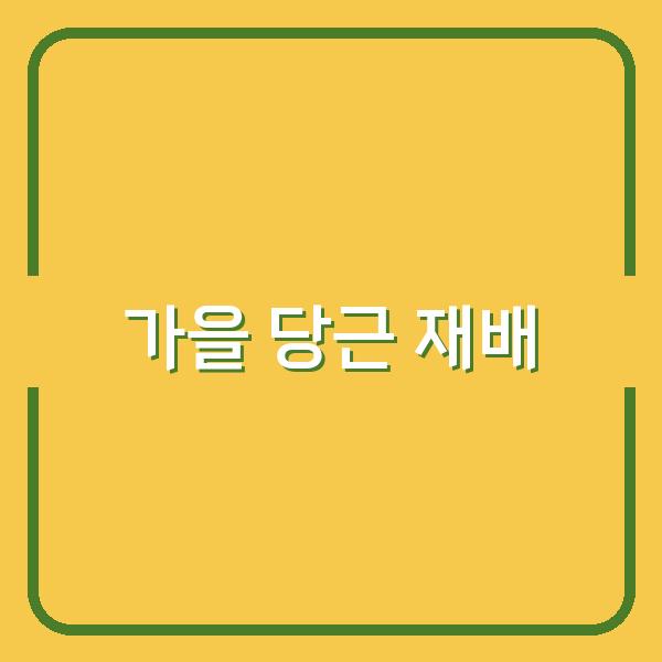 가을 당근 재배 심는 시기부터 수확까지 성공적인 정원 가꾸기 비법