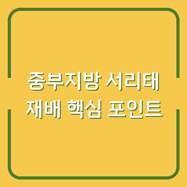 중부지방 서리태 심는시기부터 재배법, 효능까지 실제 농사에 적용하는 핵심 포인트