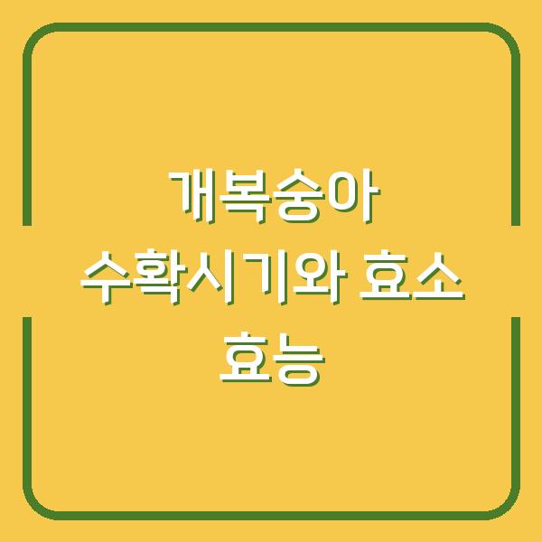 개복숭아 수확시기 놓치면 손해…효소 효능 제대로 보는 법