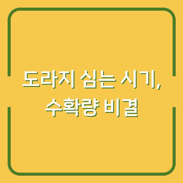 도라지 심는 시기 놓치면 수확량 반토막…씨앗 파종부터 재배까지 실전 노하우