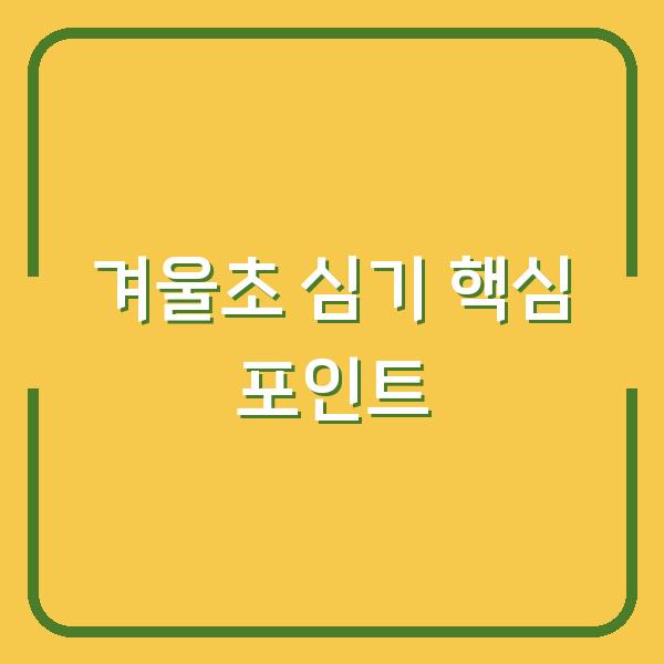 겨울초 심는 시기, 월동부터 수확까지 실패 없는 3가지 포인트