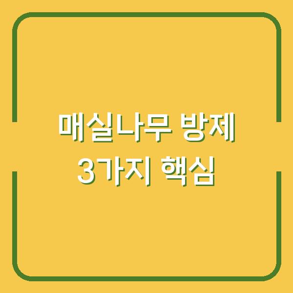 매실나무 약 치는 시기와 병충해 방제, 가지치기까지 3가지만 알면 수확량이 달라집니다