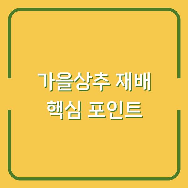 가을상추 심는 시기, 모종 정식 후 비료와 물주기만 바꿔도 수확량이 달라집니다