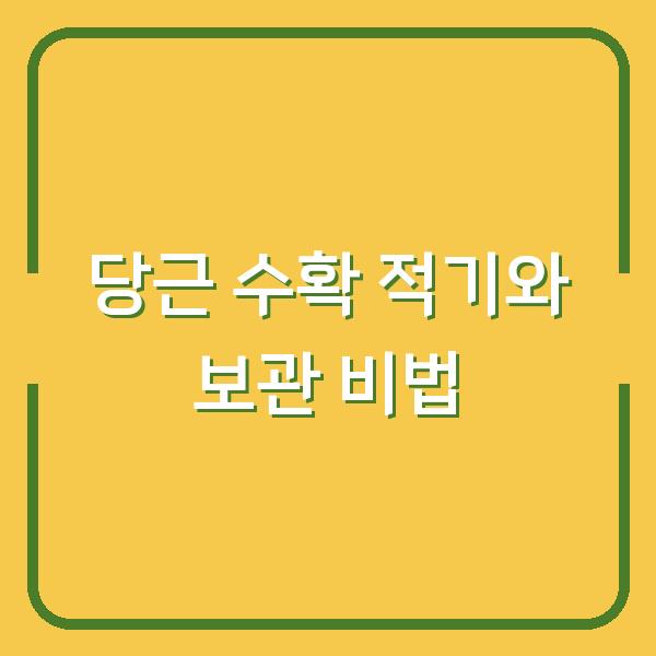 당근 수확, 바로 이때가 적기입니다 – 오래 보관하는 신선도 유지 비법
