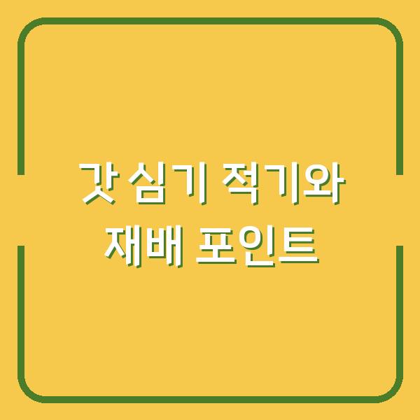 갓 수확 시기 놓치면 질겨진다? 지금 심어야 하는 이유와 재배 포인트